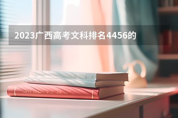 2023广西高考文科排名4456的考生报什么大学