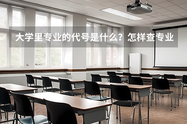 大学里专业的代号是什么？怎样查专业代码？