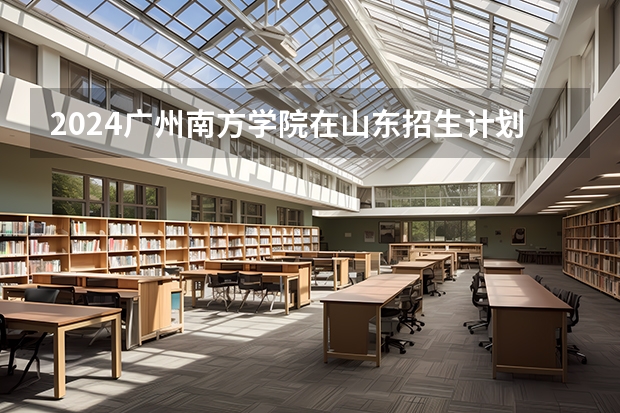 2024广州南方学院在山东招生计划表