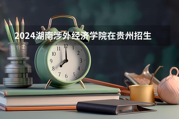 2024湖南涉外经济学院在贵州招生计划表